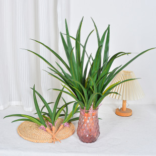 ���滨ܛ�z�ָН��m���~���m�~�����m�~�m��������廨���Ի���