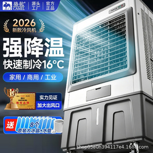跨境围巾