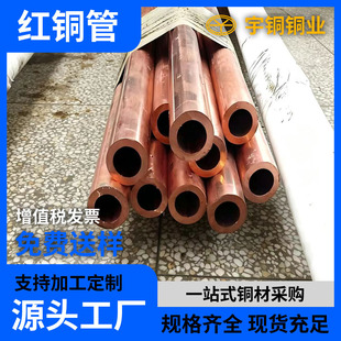 T2���~�� ���{���~�P�� �˻��~��C1100�t�~��Ҏ���Rȫ