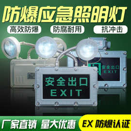 LED防爆双头灯应急灯安全出口疏散标志指示灯消防通道防爆应急灯