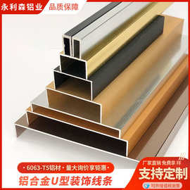 铝合金U型槽条 背景墙装饰线条吊顶封边铝材金属黑钛金收口条铝材