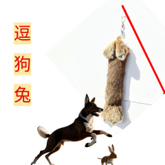 現物は犬をからかってシミュレーションします。