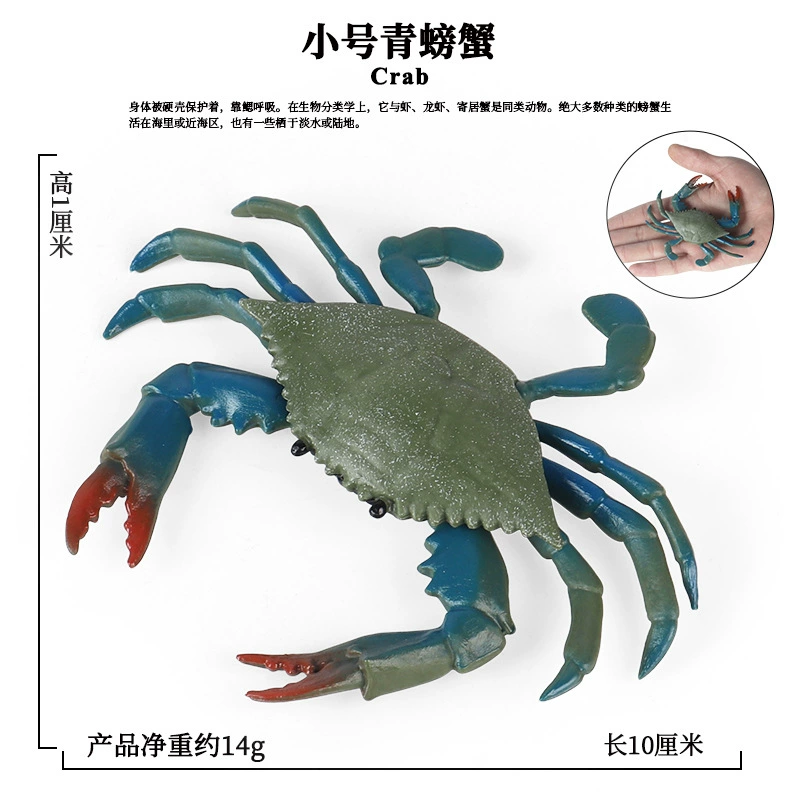 Модель crab/crab king crab трехточечная, имитация реальной жизни морского животного, открытая спина, искусственный рот, детские познавательные игрушки-украшения