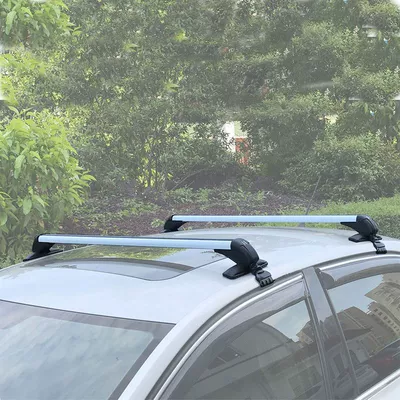 Wuling Bingo Clear Sky Starlight Roof rack - bingo-white-price-of-two