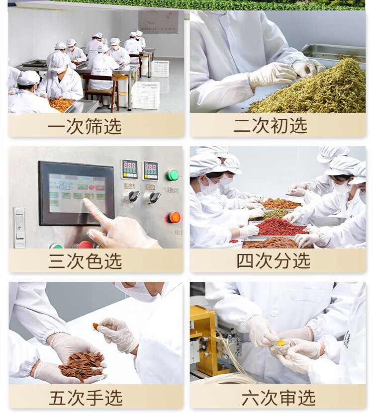 Sugarcane Imperata Snow Pear Herbal Tea Blend Zhu Zhe Mao Gen Xue Li 15g x 15 Cans Cold Brew Wellness Tea preparation