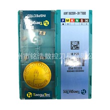 TAEGUTEC�ع̿�㊵��^AXMT060204R-EM TT9080СR0.4����Ƭ