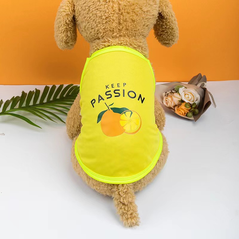 Ropa para mascotas, gato, bichón, lucha contra Bomei, perro pequeño, chaleco nuevo, camisola, ropa para perros, estilo fino de primavera y verano