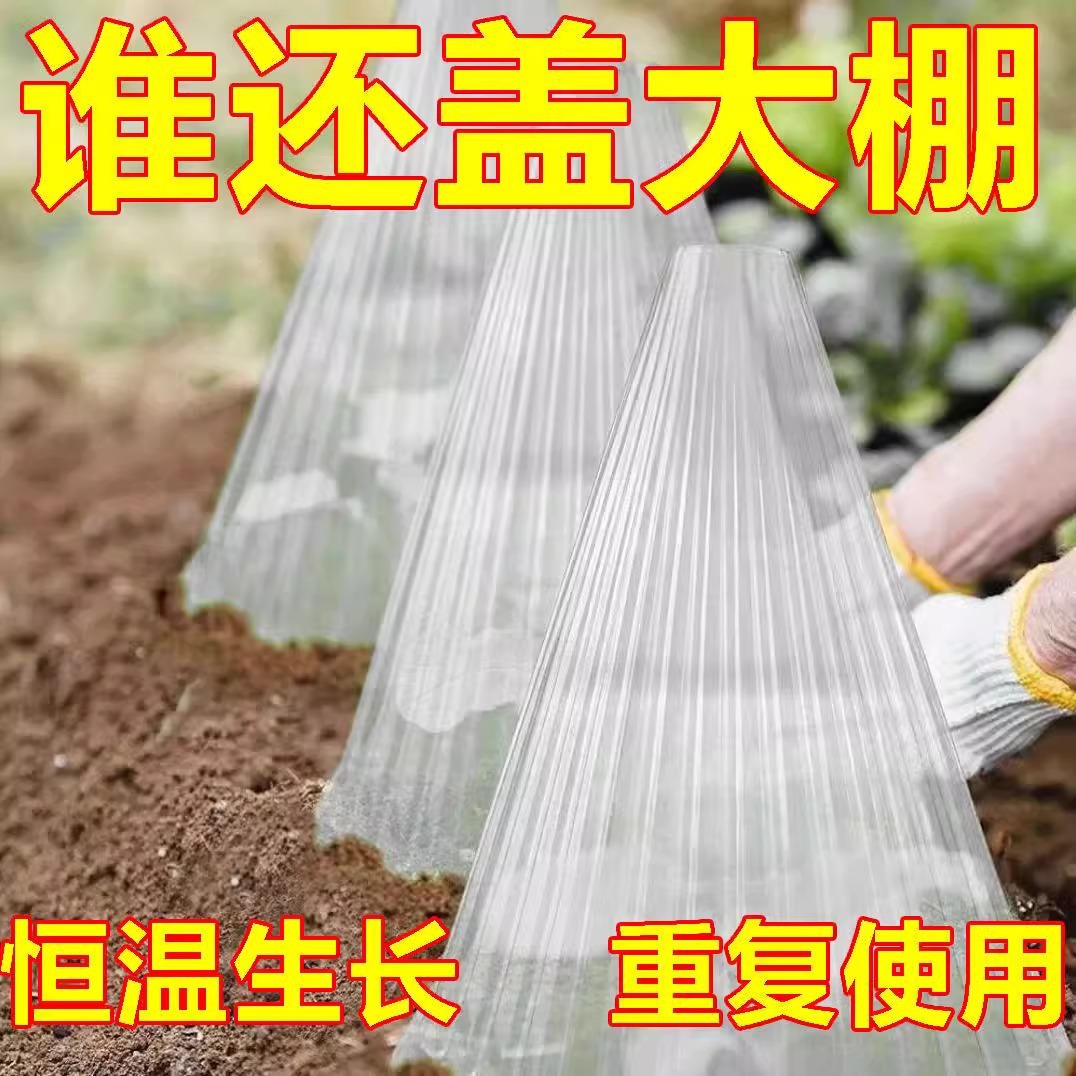 Cubierta Protectora para Plántulas con Aislamiento Térmico y Protección contra Insectos para Jardín e Invernadero