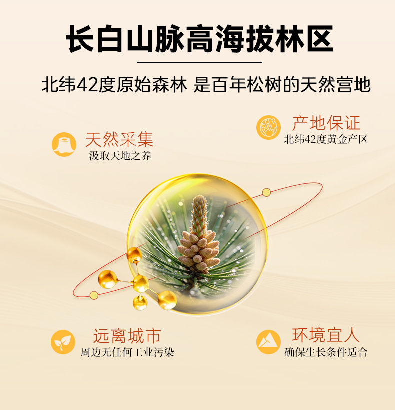 Breakwall Pine Pollen Powder Song Hua Fen 100g 200g 250g Changbai Mountain Herbal Powder key features