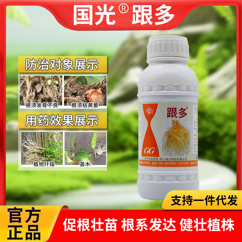 国光跟多 根多 促进植物生新根 生根液 生根剂 营养型生根剂壮苗