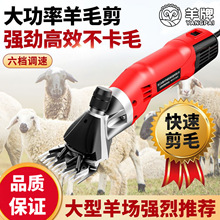 ����늄���ë��늼�����������ë������Ӽ�ë�C���Ӽ���ë����