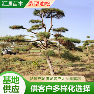 �������ɹ��̾G���������Ʉe��ͥԺ���ɘ�WУ���@���^���ͺ���