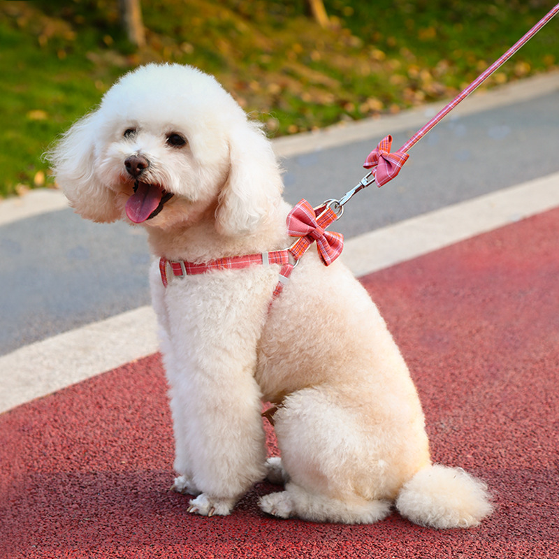Cuerda de tracción para mascotas, correa para el pecho para mascotas, lazo a cuadros pequeño, lazo para gatos, lazo para perros pequeños y medianos, cadena para perros