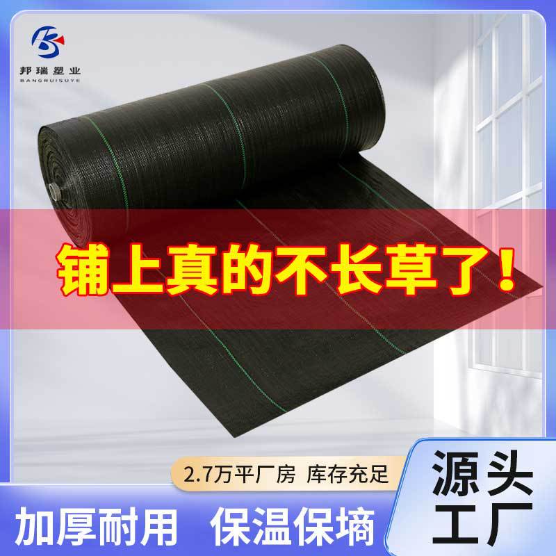 Water-permeable anti-weed fabric, anti-weed ground cover, anti-aging agricultural mulch for orchards and fruit trees, wholesale weed control fabric Water-permeable anti-weed fabric, anti-weed ground cover, anti-aging agricultural mulch for orchards and fruit trees, wholesale weed control fabric