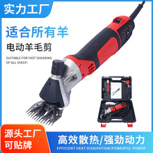 ��Ʒ�ʴ��ʵ綯��ë�� �������������ë�� �������ó��������