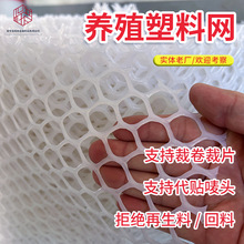 厂家批发耐老化全新料养殖塑料网鸽笼塑料垫网兔笼塑料垫网塑料网