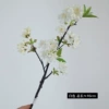White (8 clusters less flowers)