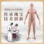 人体仿真教学穴位模型