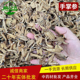 中药材批发手党参 佛手参 手掌参 手儿参 本色 量大价优湘起之秀