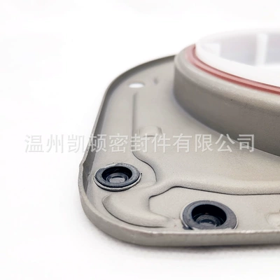 number 2418F-701/2418F701, Oil seal