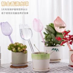 国境を越えた新製品チューリップ水滴球チューリップシンプルな造形花器狭い輸出設計