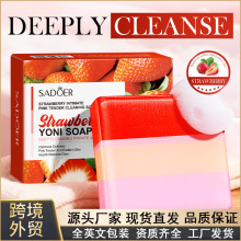 ȫӢ��SADOER��ݮ˽�ܷ���������ں�������100g ������羳����