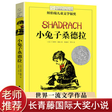 小兔子桑德拉正版书长青藤国际大奖小说书系第九辑小学生课外阅读