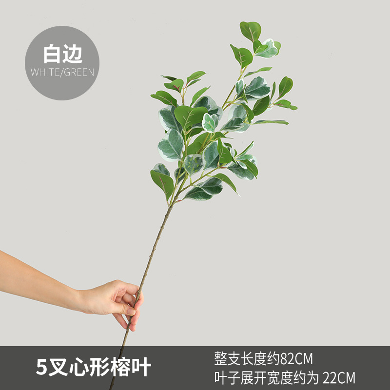 흰색 가장자리가 있는 하트 모양의 반얀 잎 포크 5개