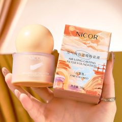 ニコール エア ロングラスティング コンシーラー ファンデーション 30g BBクリームファンデーション ノンスティックパウダー コンシーラーファンデーション 人気商品