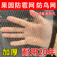 厂家直销防鸟神器无结网果园防雹网防鸟网经久耐用果园防护网
