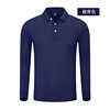 Demi-season cotton polo, T-shirt, long sleeve, with embroidery