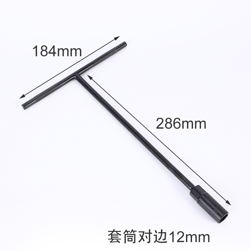 12(전기영동 T형)