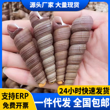 ���r���ȥβ��̖�F�����r�ك��r��ȥβ���ݽzС���rؐ��������l