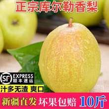 新疆库尔勒香梨水果新鲜整箱10-14斤全母梨梨子当季应季孕妇水果