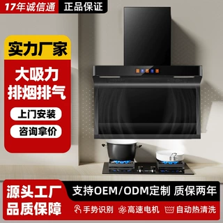 厨房大吸力油烟机 厂家批发抽油烟机 家用大吸力顶侧双吸吸油烟机