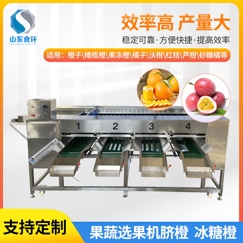 果蔬分拣机 土豆田螺芒果火龙果分级机 荔枝筛选设备果蔬选果机