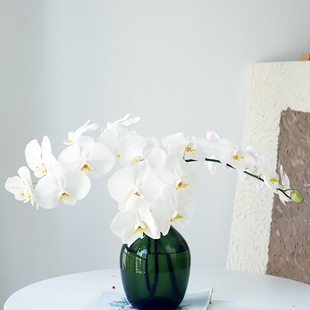 ��ɫ�����m�r���r�л����ֱ�lˮ����ֻ�滨�廨�������������m