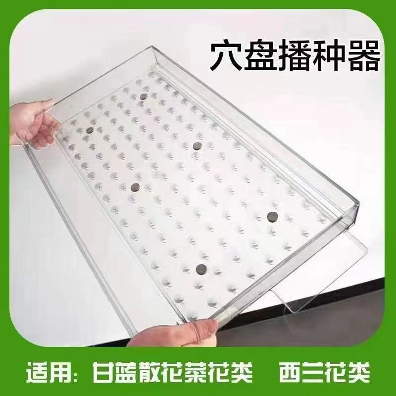 播种器辣椒加厚播种新款压孔器育苗盘播种器多功能漂浮育苗盘|undefined