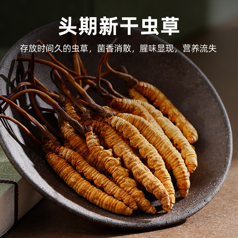 【Qili Fragrance】Cordyceps Sinensis 1g Boxed 4 Pieces Initial Set Nuqu Cordyceps Sinensis Yushu