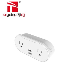 TY1868S double AC American standard WIFI smart socket wall plug-in with timing voice control remote control 2AC + 2USB