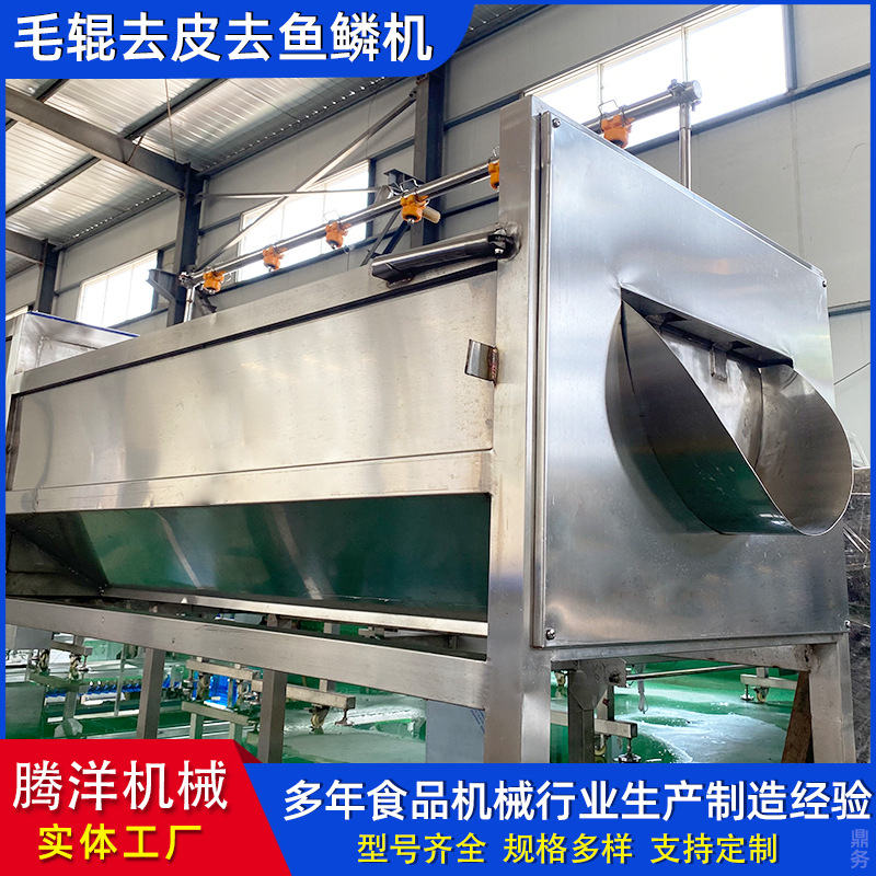 水果打蜡清洗机毛刷辊 粽叶毛辊清洗机 毛辊带水喷淋清洗机