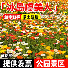 ���u�����˻��N�Ӻû������ļ��ɷN�Ļ��ѾG����ɫ���������ܷN��