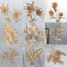 ��ɫ�~���b��yɫ�~�ӽ�ɫ�����ɫ��֦ާ�~��c���߻�Y�[���F�z