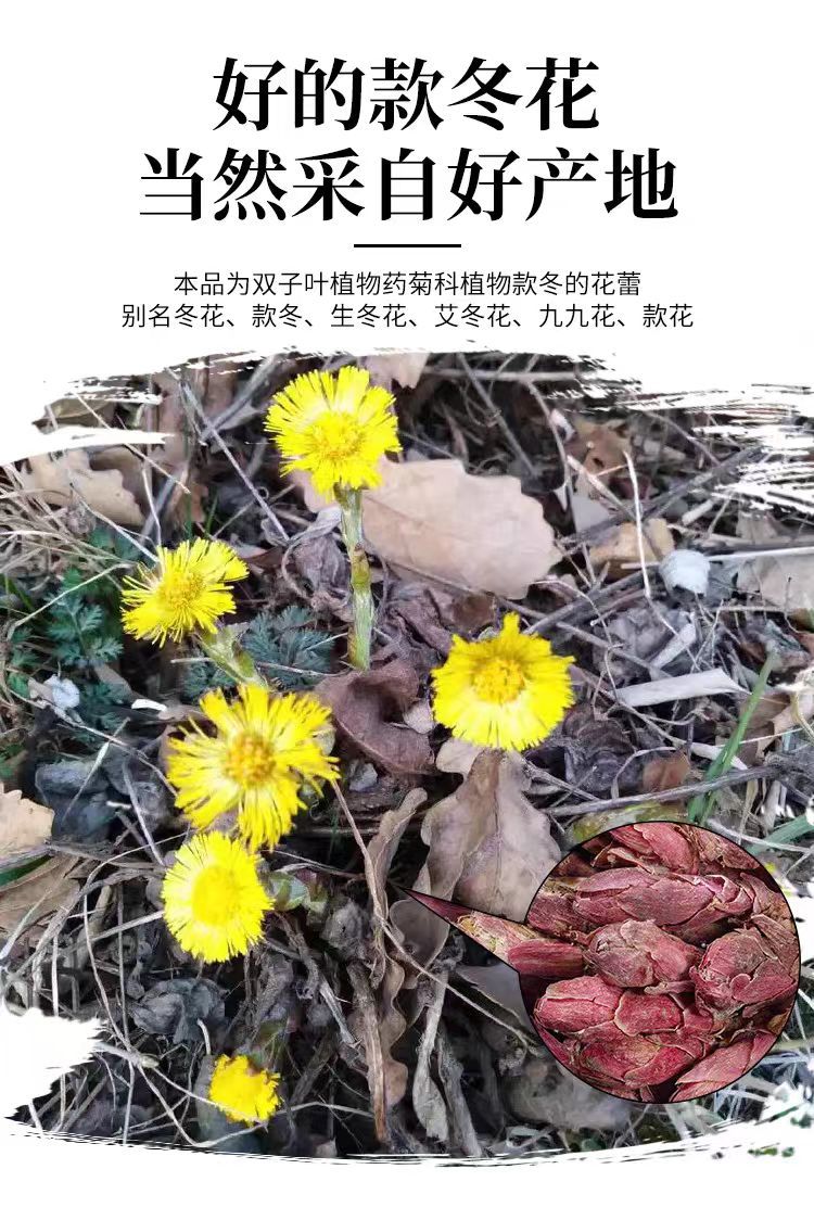 中药材款冬花500g 冬花泡茶 款花看灯花艾冬花九九花产地直供批发-阿里巴巴