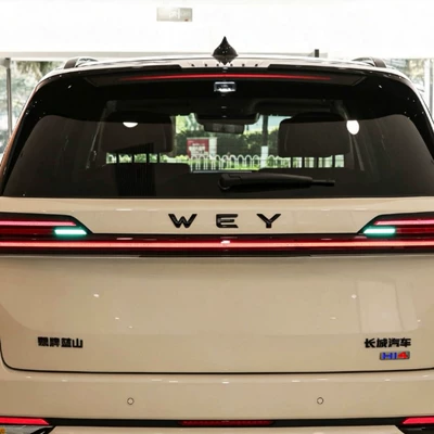 Suitable for Wey Gaoshan 7/8/9 — Car logo