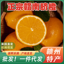 【彩箱装】正宗江西赣南脐橙当季孕妇水果一级大果甜蜜多汁