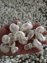 ����ؐ����G�ݼľ�з��Q��ȥƤС�����~���쾰�b[��