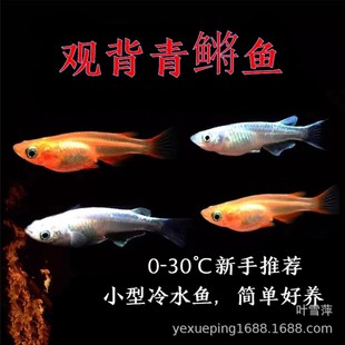 �^�����F�~���w��ˮ�~�׽��ټt�^���~��ˮ�ŷ��ݸ��^�p�~�O�����l