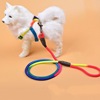 Traction rope Dogs Pet dog Colorful Teddy Dog chain Walk the dog Medium Small dogs Pets Thoracolumbar band Supplies