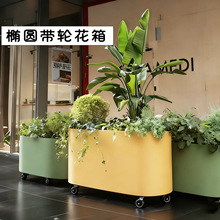 ������Ƅӻ��䲻�P䓙E�A����ͥԺ�M����[�Nֲ�ێ�݆�҃������